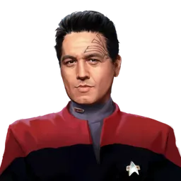 Chakotay portrait